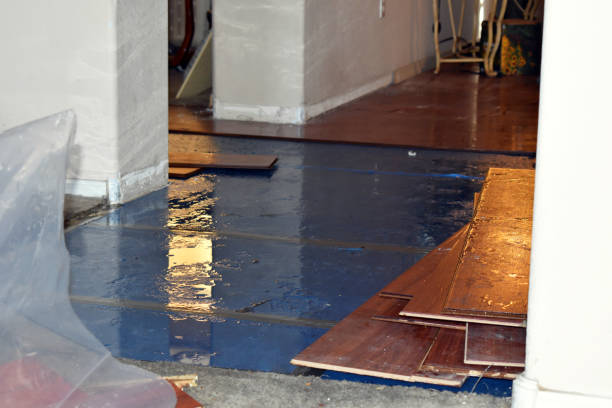 Professional Water Damage technician working in Chepachet, RI